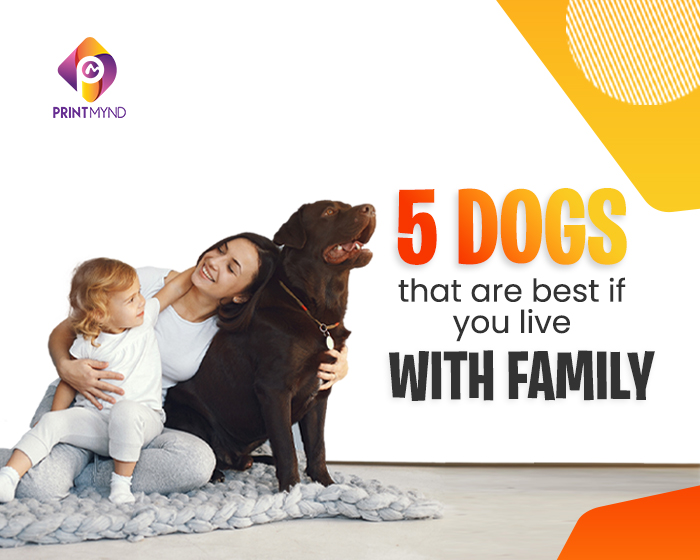 5 dogs that are best if you live with family