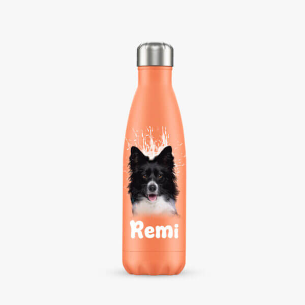 Custom Pet Water Bottle